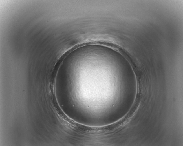 X0000067901497200604171349