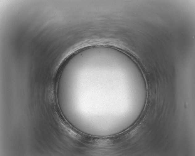 X0000067901498200604171349