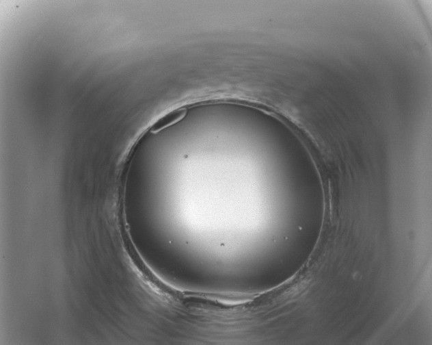 X0000067901500200604171349