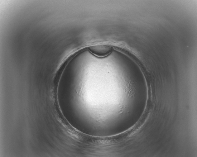 X0000067901501200604171349