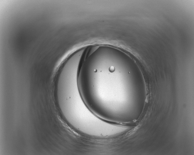 X0000067901502200604171349