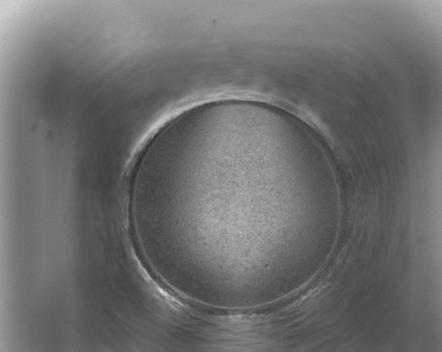 X0000067901504200604171349