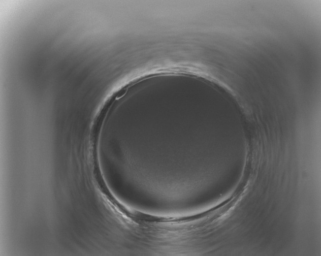 X0000067901506200604171349