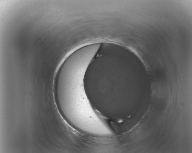 X0000067901508200604171349