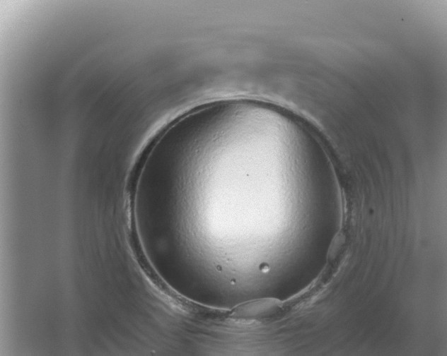 X0000067901509200604171349