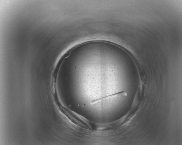 X0000067901510200604171349