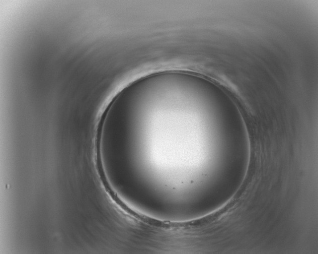 X0000067901512200604171349