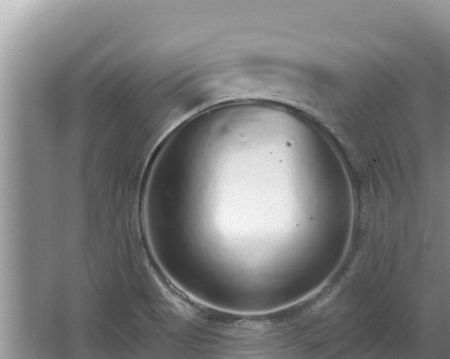 X0000067901513200604171349