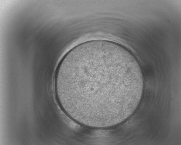 X0000067901514200604171349