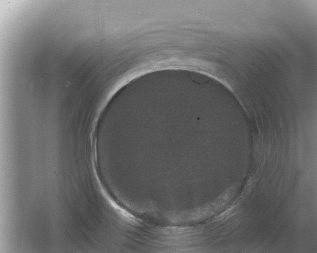 X0000067901515200604171349