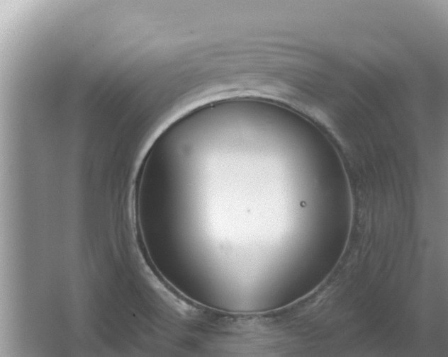 X0000067901516200604171349