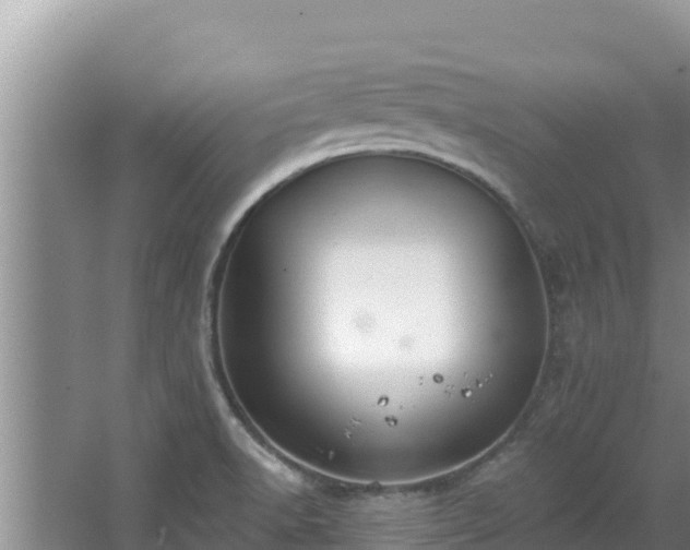 X0000067901518200604171349