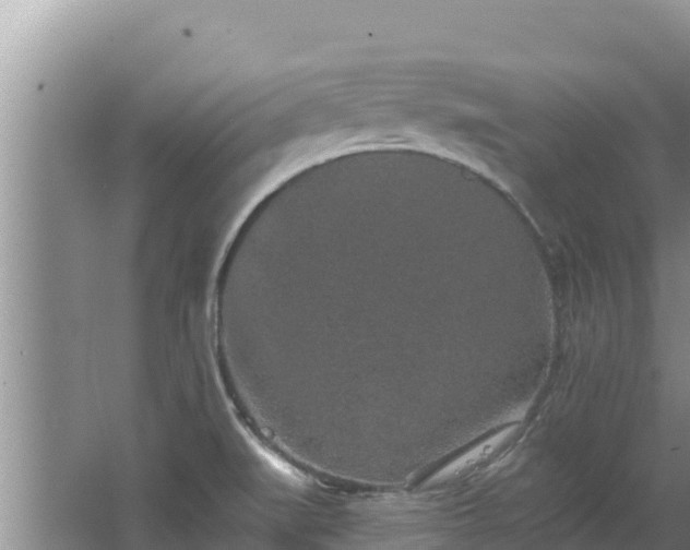 X0000067901519200604171349