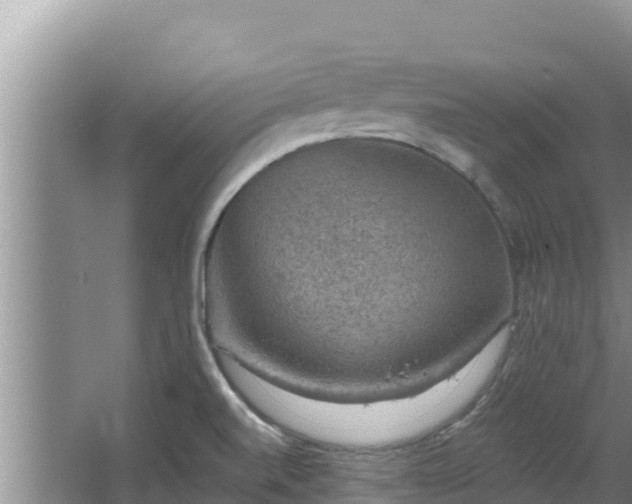 X0000067901520200604171350