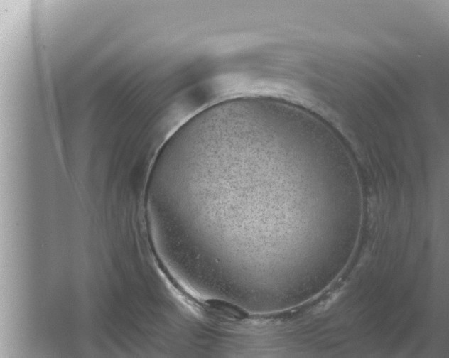 X0000067901521200604171350