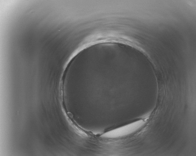 X0000067901522200604171350