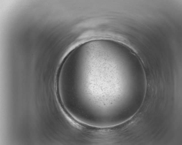 X0000067901523200604171350