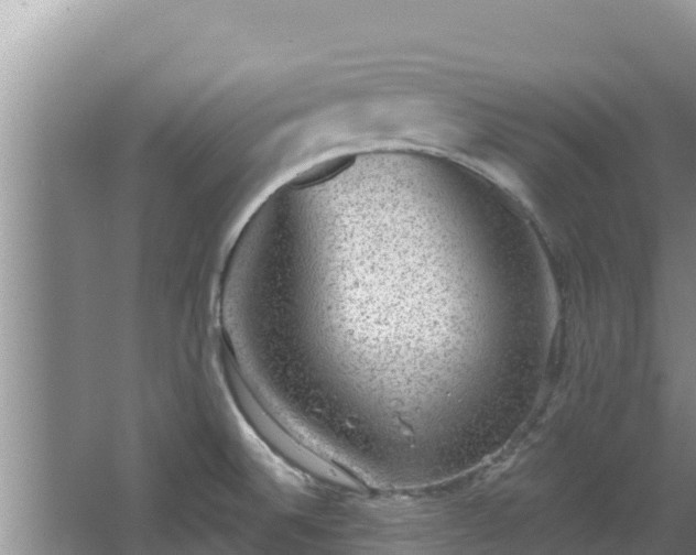 X0000067901524200604171350