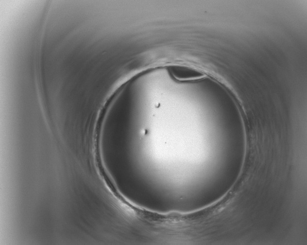 X0000067901525200604171350