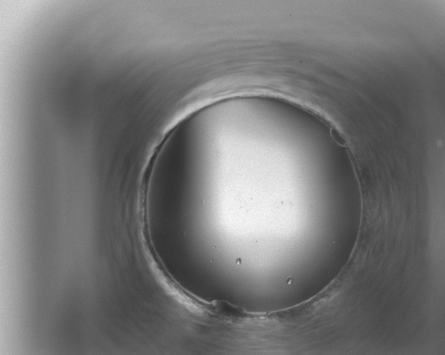 X0000067901526200604171350