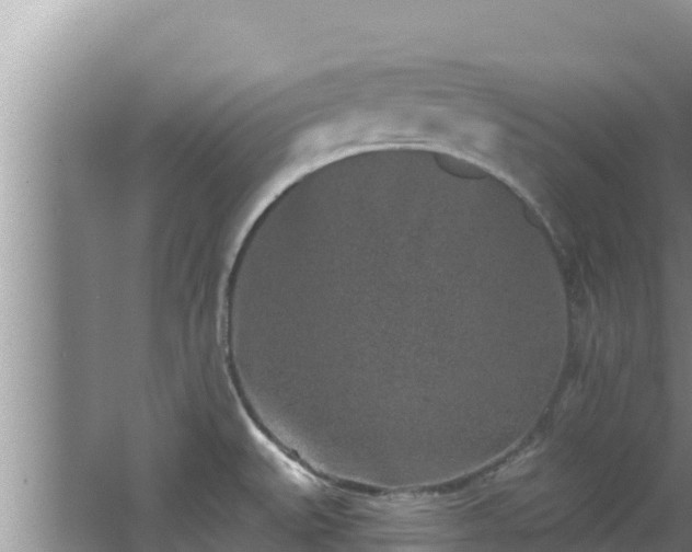 X0000067901527200604171350