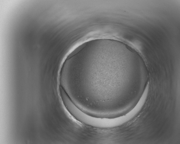 X0000067901528200604171350