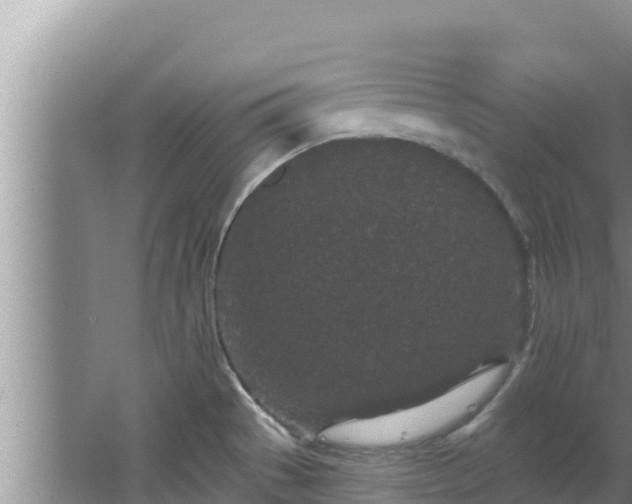 X0000067901529200604171350