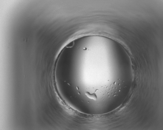 X0000067901530200604171350