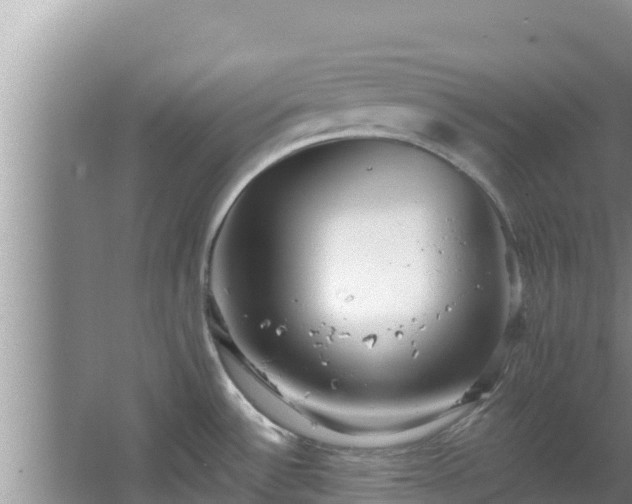 X0000067901532200604171350