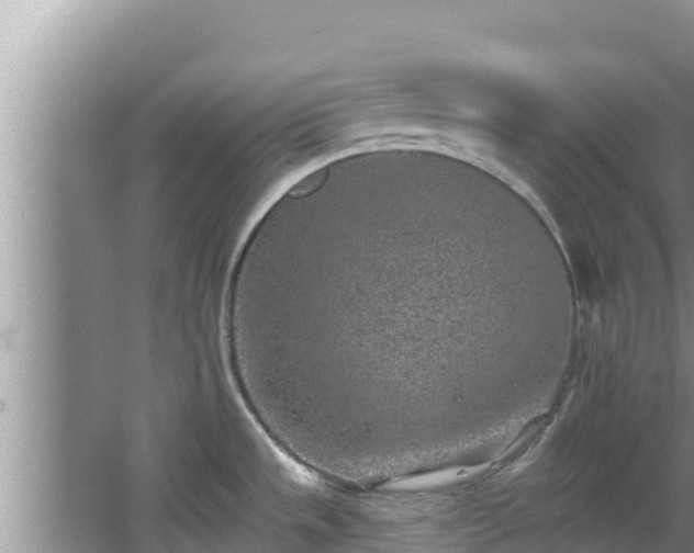 X0000067901533200604171350