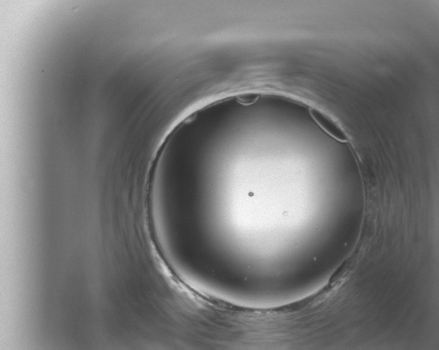 X0000067901534200604171350