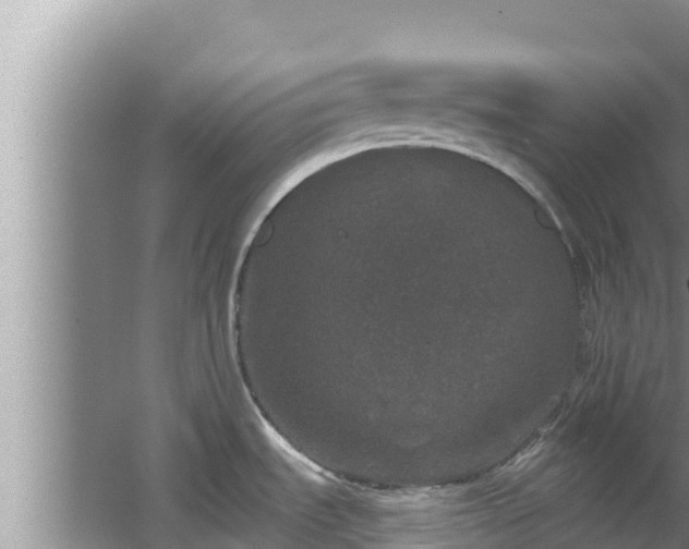 X0000067901535200604171350