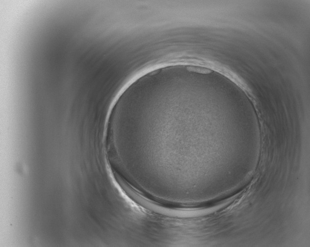 X0000067901536200604171350