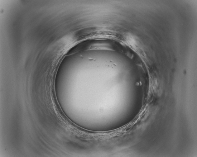 X0000067900001200604201347