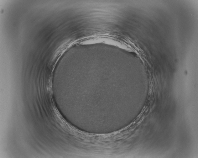 X0000067900002200604201347