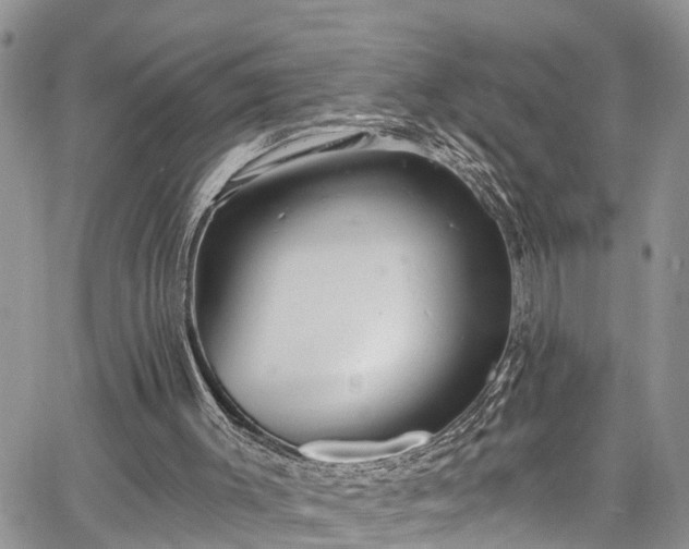 X0000067900003200604201347