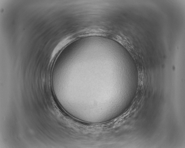 X0000067900004200604201347