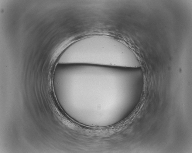 X0000067900005200604201347