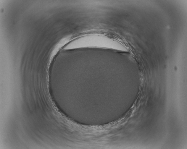 X0000067900006200604201347