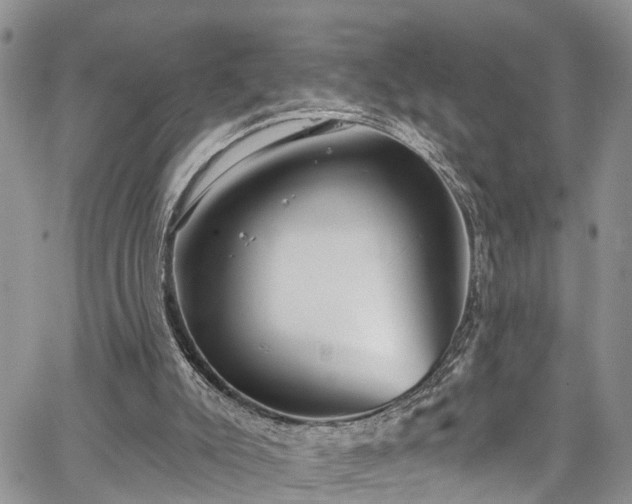 X0000067900007200604201347