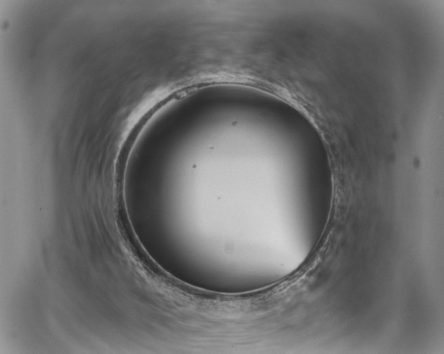 X0000067900008200604201347