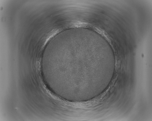 X0000067900010200604201347