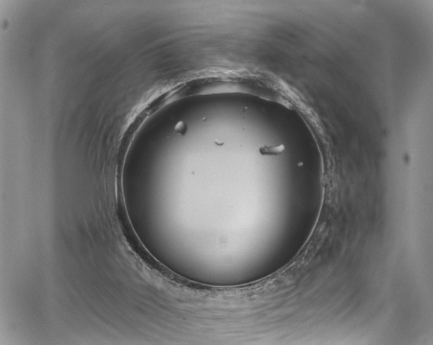 X0000067900011200604201347