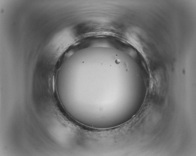 X0000067900013200604201346