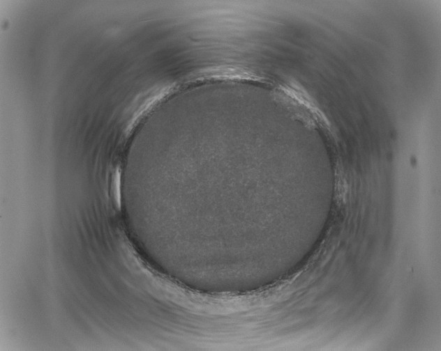 X0000067900014200604201346