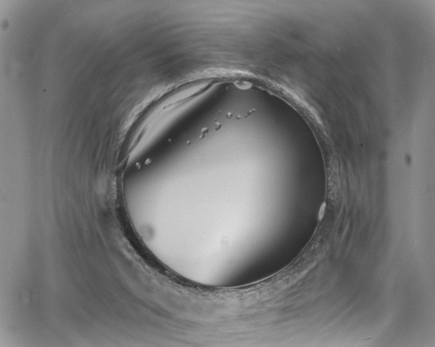 X0000067900015200604201346