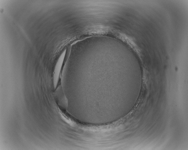 X0000067900017200604201346