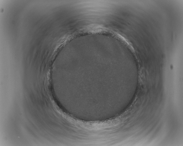 X0000067900018200604201346