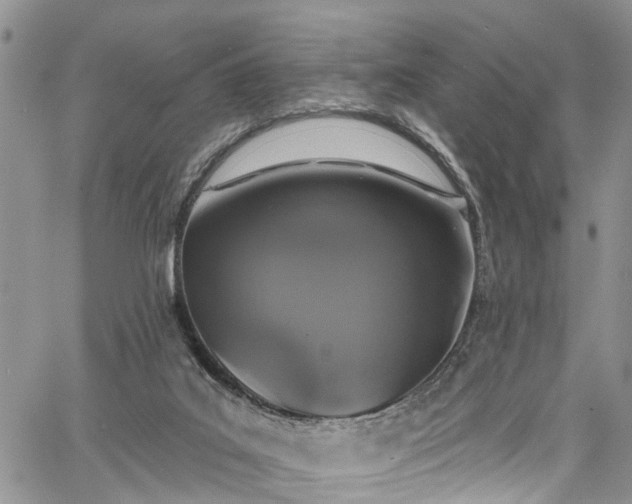 X0000067900019200604201346