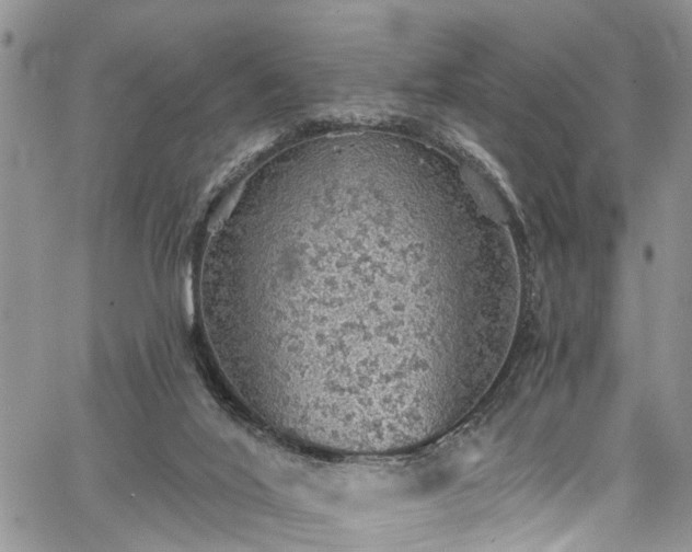 X0000067900020200604201346